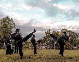 manfaat dari olahraga bela diri