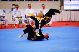 teknik teknik di dalam pencak silat