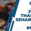 Ceker Ayam Jumbo Thailand Seharga 30 Juta Rupiah